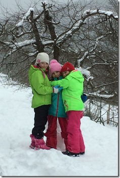 IMG_0497_1